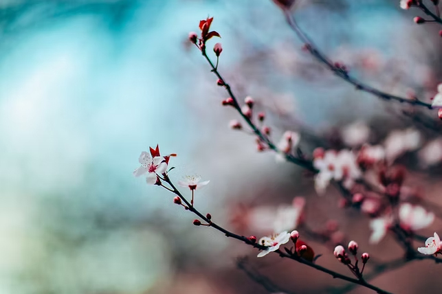 blog01